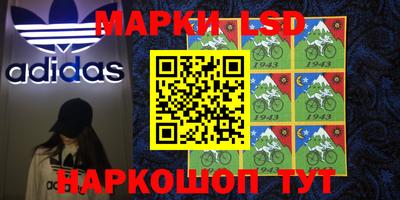 mdpv Кимры