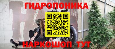mdpv Кимры
