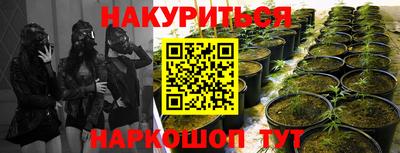 mdpv Кимры
